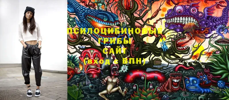 блэк спрут как войти  Ивдель  Псилоцибиновые грибы Cubensis  купить  сайты 